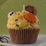 Halloween Cupcake Soy Candl..